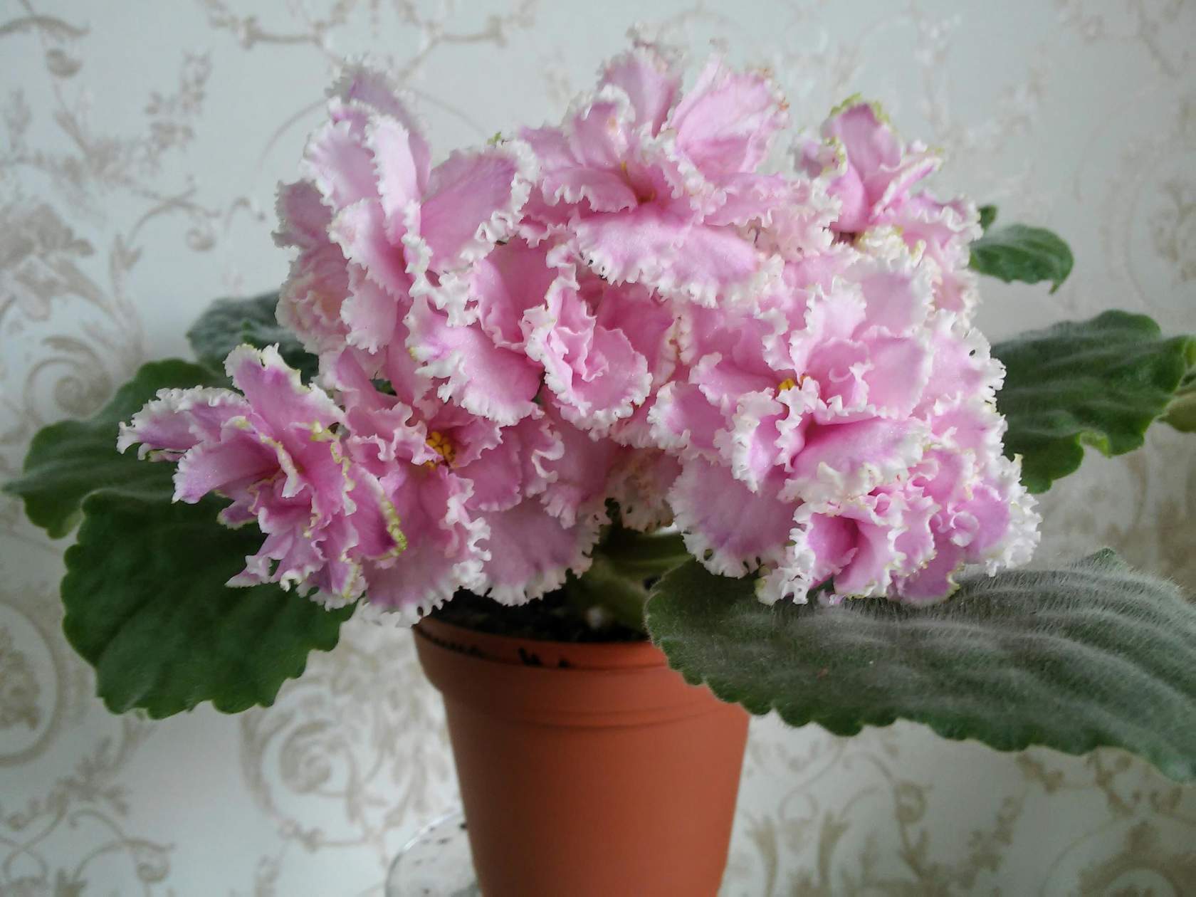 Зима Улыбается